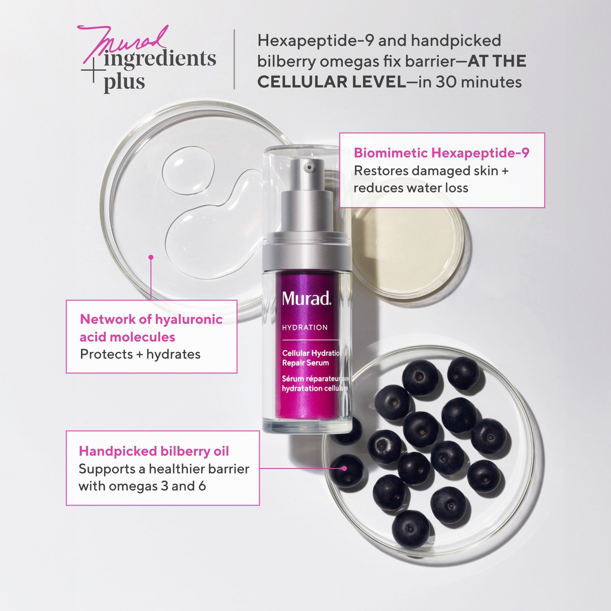 Cellular Hydration Barrier Repair Serum